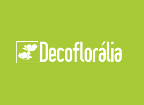 marketing digital ecommerce decofloralia